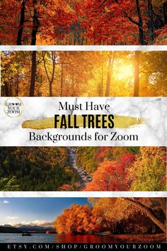 fall trees with the title must have background for zoon's autumn foliages