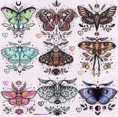 an assortment of moths with hearts on the back and wings, all in different colors