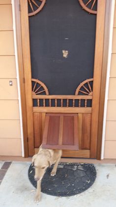 a dog standing in front of a door with a bench on it's side