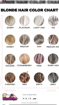 Hair Ombre Brown, Blonde Hair Color Chart, Rose Blonde, Dread Extensions, Hair Color Chart, Fall Hair Cuts, Ombre Brown, Hairstyles Videos, Fall Hair Trends