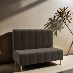 a gray couch sitting in front of a wall with a plant on top of it