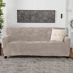 a living room with a couch, rug and potted plant on the floor in front of it