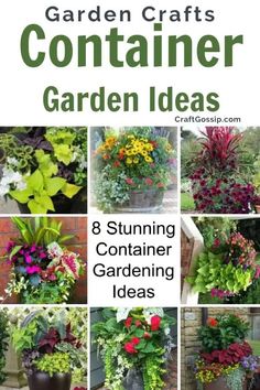 an image of garden containers with flowers and plants in them, the title reads 8 stunning container gardening ideas