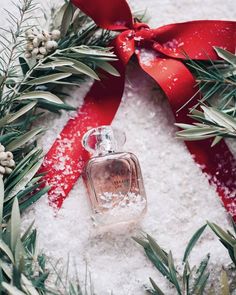 a bottle of perfume sitting on top of snow next to a red ribbon and evergreen branches