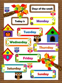 a bulletin board with owls on it and the words days of the week in different languages