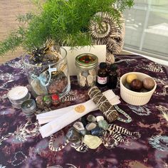 a table topped with lots of different types of rocks and bottles next to a potted plant