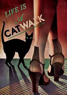 a black cat standing next to a pair of shoes with the words life is a cat walk on it