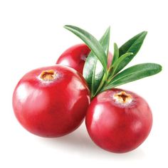 three pomegranates with green leaves on top of each one in front of a white background