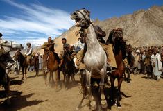 a group of men riding on the backs of horses