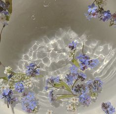 blue and white flowers floating in water on top of a bowl with ripples around it