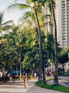 people walking down the street in front of palm trees