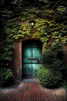 an old door is surrounded by green plants