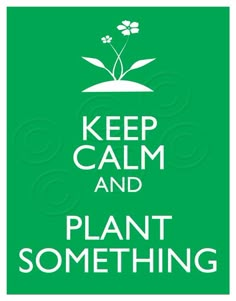 a green poster with the words, keep calm and plant something in white on it