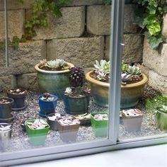 9 Ways to Improve Your Window Wells - gardenlovin Window Well Garden, Garden Window Decorating Ideas, Egress Window Landscaping, Unfinished Basement Walls, Well Garden, Egress Window Well, Basement Window Well, Window Wells, Window Well Cover