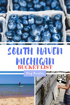 blueberries are in baskets on the beach with text that reads south haven, michigan bucket list