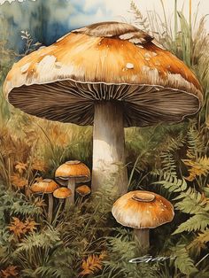 an image of a painting of mushrooms in the grass