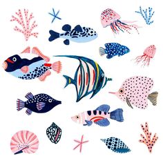 an assortment of colorful fish on a white background