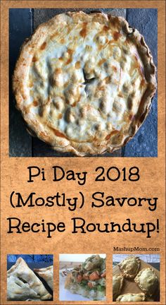 the cover of pi day 2013 mostly savory recipe roundup with pictures of pies