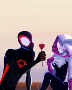 spider - man and catwoman in the animated version of spider - man into the spider - verse