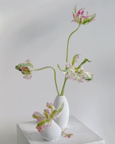 two white vases with pink flowers in them