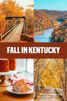 fall in kentucky collage with photos of trees, bridge and river