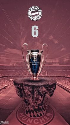 an image of a soccer trophy with the number six on it's front and side