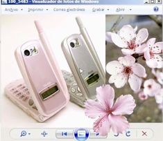 two cell phones sitting next to each other on top of a computer screen with flowers in the background