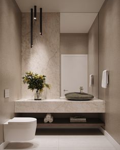 a white toilet sitting next to a bathroom sink under a mirror above a counter top