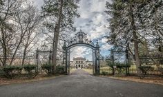 an iron gate leads to a large mansion in the distance with trees lining the road