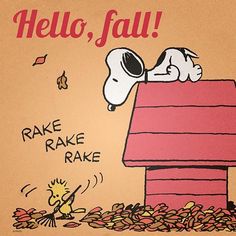 a charlie brown christmas card with the caption, happy wednesday make rake rake rake believe in the magic of christmas - on facebook & pinterest