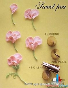 the instructions for how to make sweet pea flowers