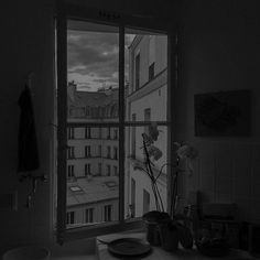 black and white photograph of kitchen window with flowers in the pot on the counter next to it