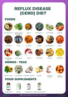 Acid Reflux Diet Plan, Reflux Diet Recipes, Gerd Diet Plan, Gerd Diet Recipes, Ulcer Diet, Acid Reflux Friendly Recipes, Acid Reflux Diet Meals, Gerd Recipes, Reflux Recipes