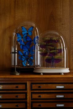 two glass domes with blue butterflies inside on top of a wooden dresser next to drawers