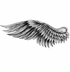 an angel wing tattoo design on the back of a woman's shoulder and arm