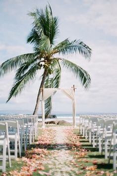 an outdoor wedding setup with white chairs and a palm tree on the beach in front of it