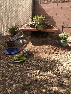 a garden area with rocks and plants in the back yard, along side a fence