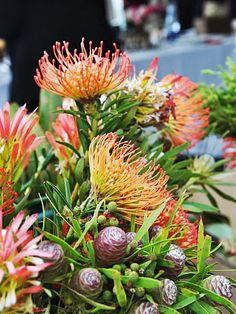 an assortment of flowers and plants in pots on a table with other items behind them