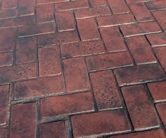 a dog laying on the ground next to a red brick sidewalk