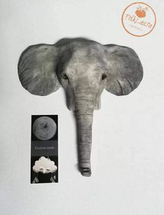 an elephant's head is mounted on the wall next to a card with a photo