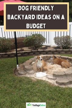 Backyard Diy Dog Friendly Backyard, Dog Spoiling Ideas, Dog Friendly Yard Ideas, Diy Dog Park Backyard, Dog Outdoor Play Area Backyard Ideas, Dog Friendly Backyard Ideas, Backyard Dog Friendly, Backyard Landscaping Dog Friendly, Dog Park Backyard