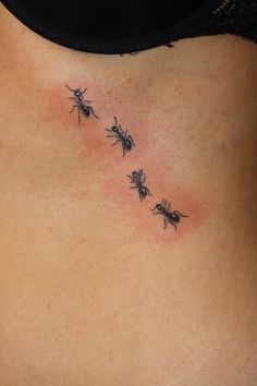 the back of a woman's stomach with three small bugs on her chest and one is