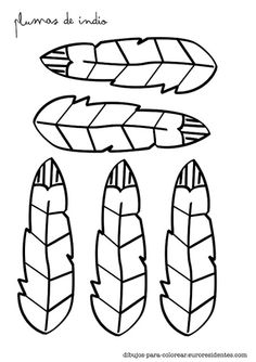 three feathers that have been drawn in spanish