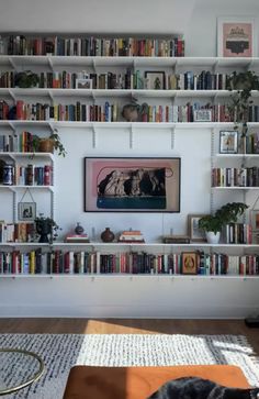 a cat laying on the floor in front of a bookshelf filled with books