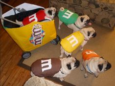 four pug puppies are dressed in costumes and sitting on the floor next to a couch