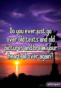 the sun is setting and there are two palm trees in front of it, which reads do you ever just go over old texts and old pictures and break your heart all over again?