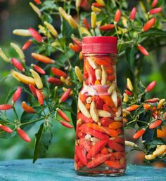 a jar filled with lots of red and yellow peppers sitting on top of a table