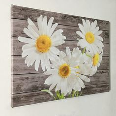 three white daisies are placed on a wooden paneled wall, with yellow centers