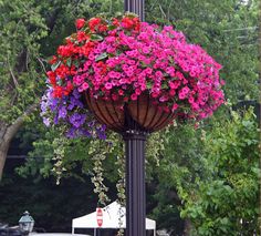 a lamp post with colorful flowers hanging from it's sides in front of trees