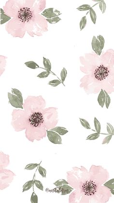 pink flowers with green leaves on a white background